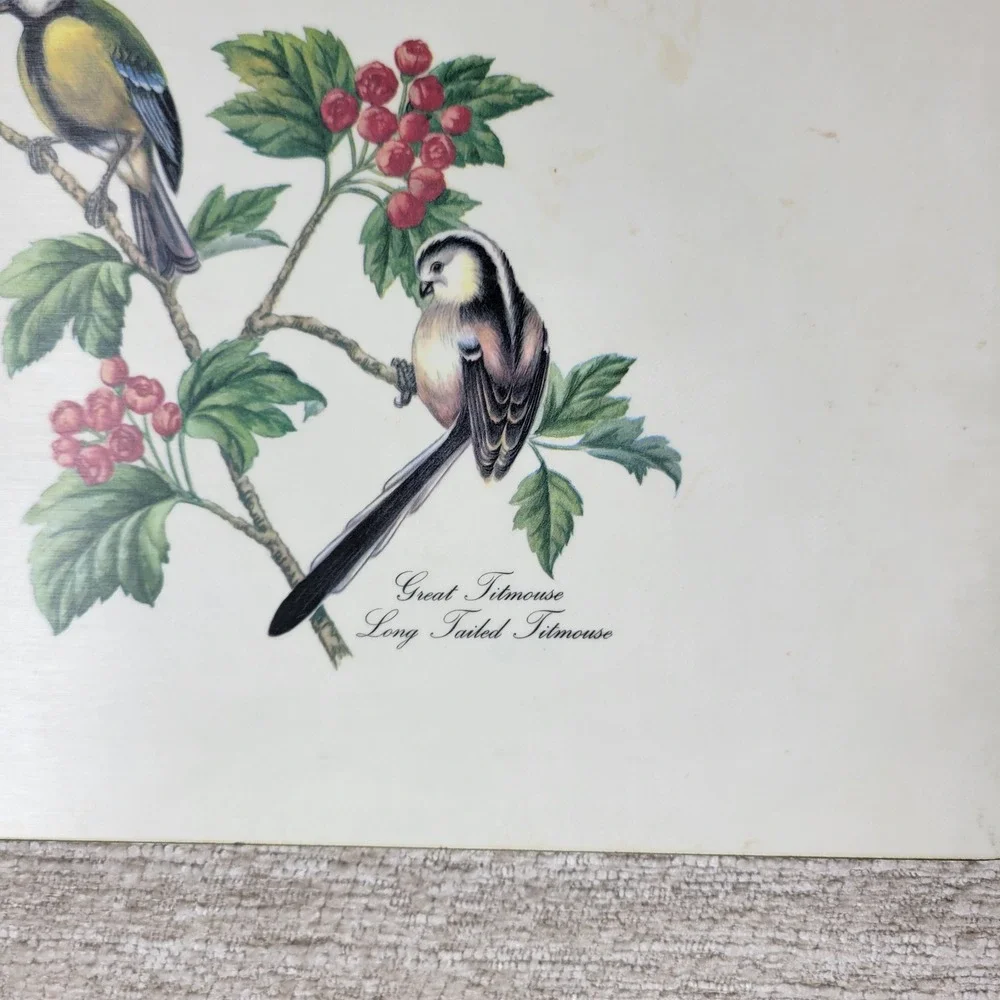 Vintage Lady Clare Luncheon Bird Placemats Felt Back Wood Cork England Set of 4